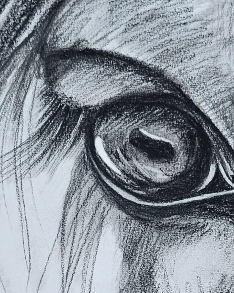Untitled design (7)